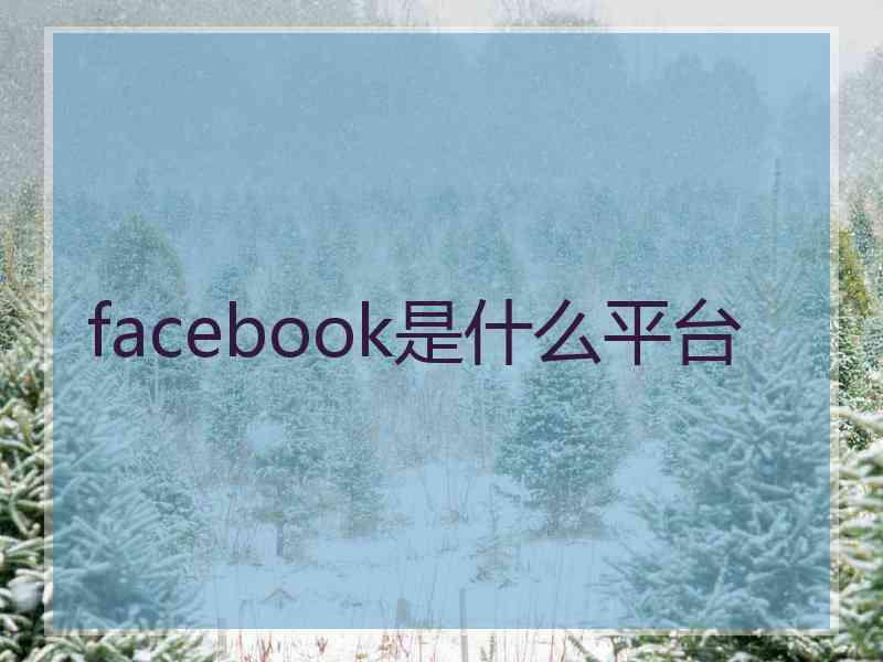 facebook是什么平台