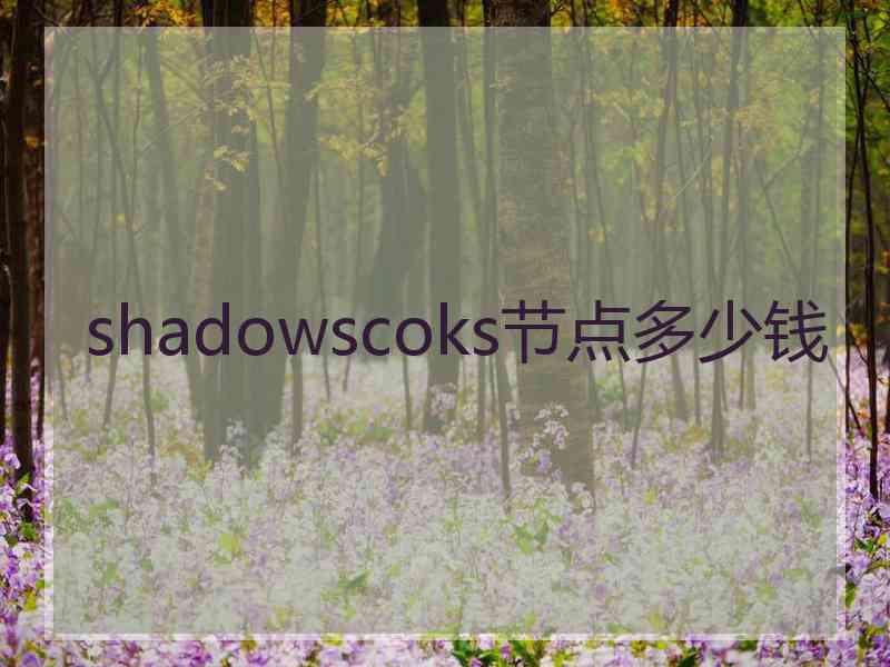 shadowscoks节点多少钱