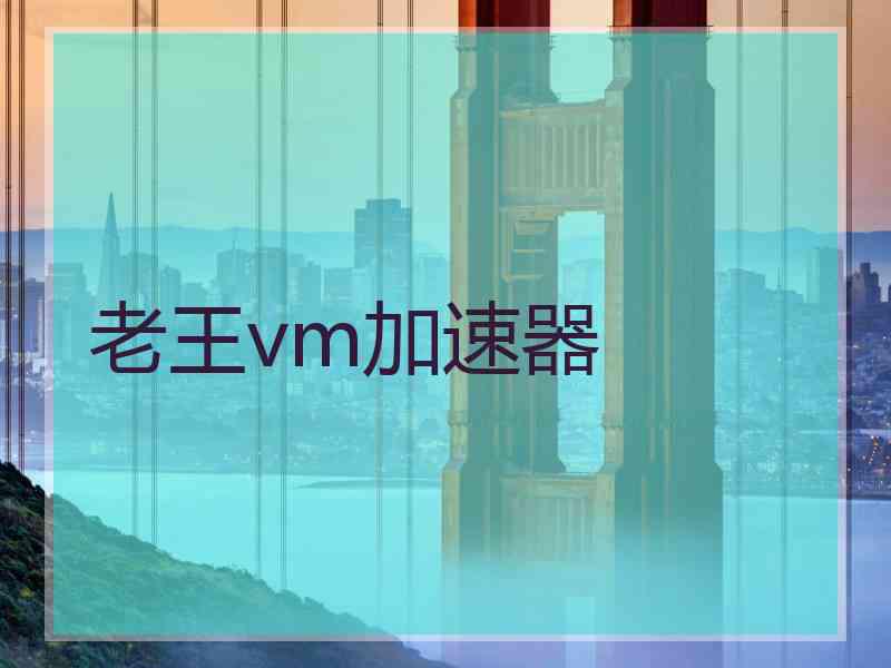 老王vm加速器