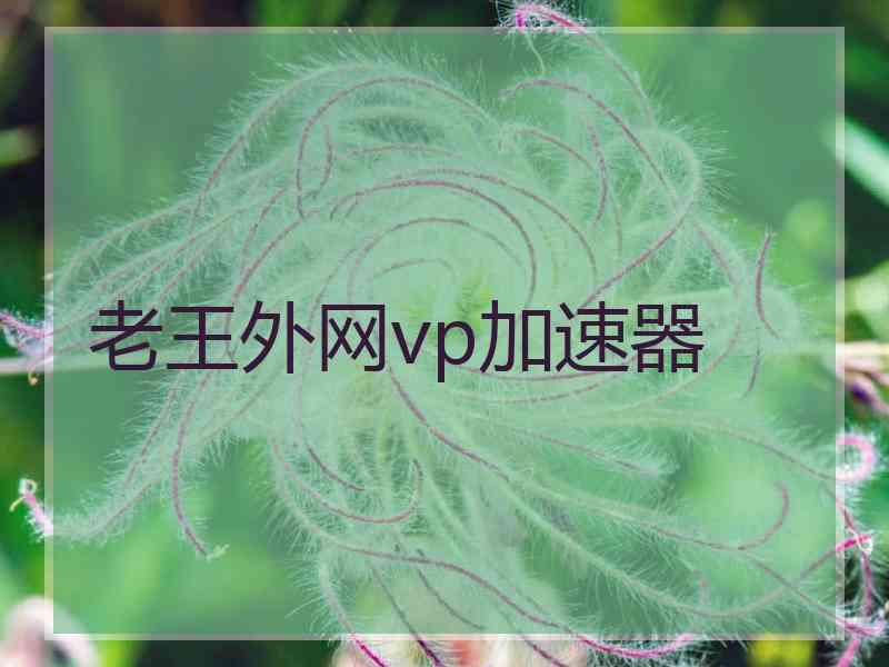 老王外网vp加速器