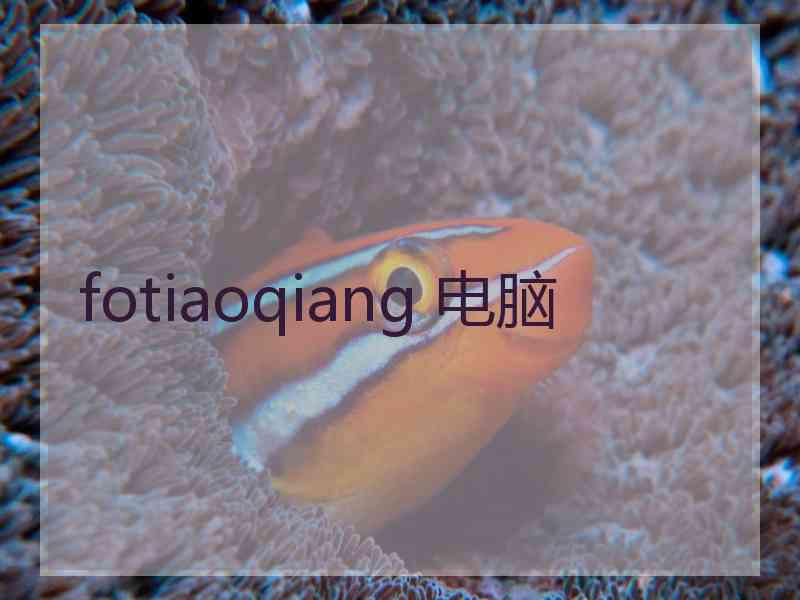 fotiaoqiang 电脑