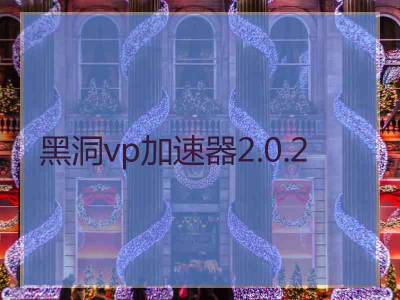 黑洞vp加速器2.0.2