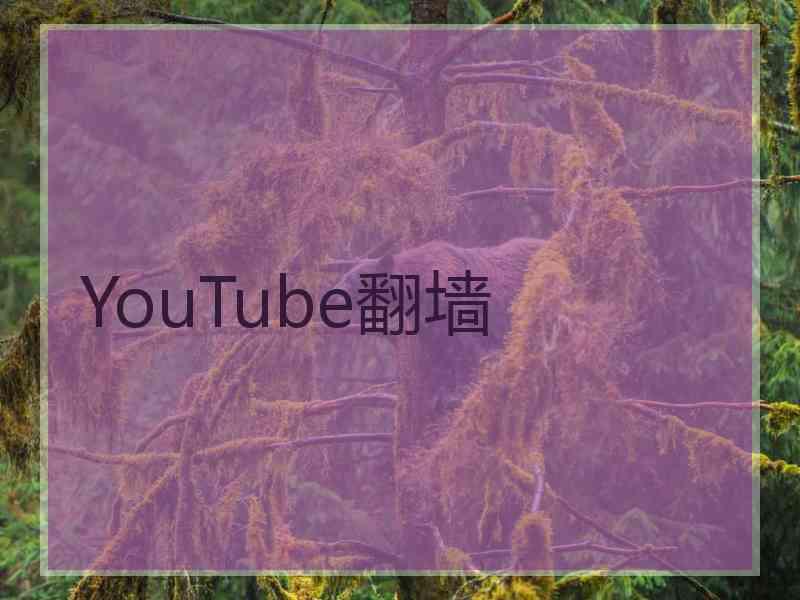 YouTube翻墙