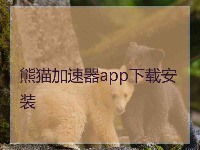 熊猫加速器app下载安装