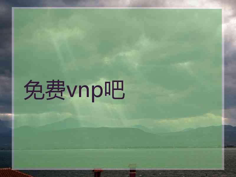 免费vnp吧