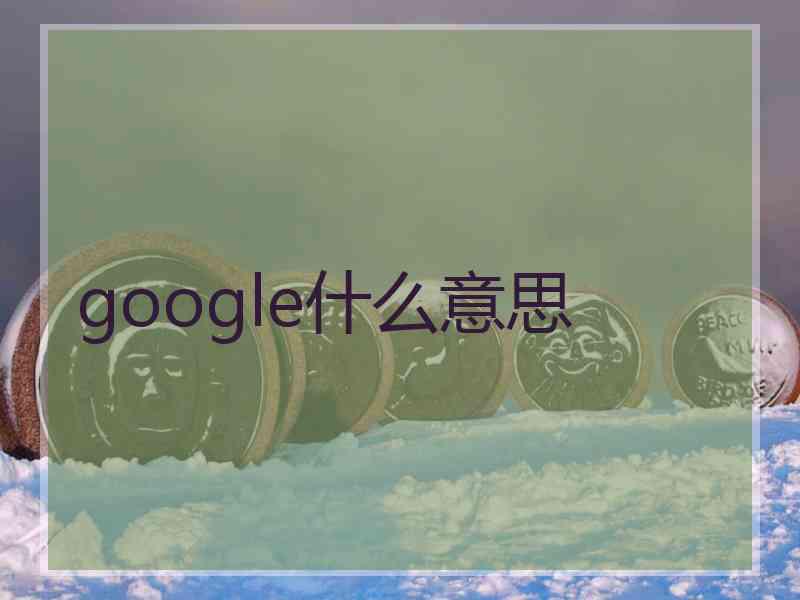 google什么意思