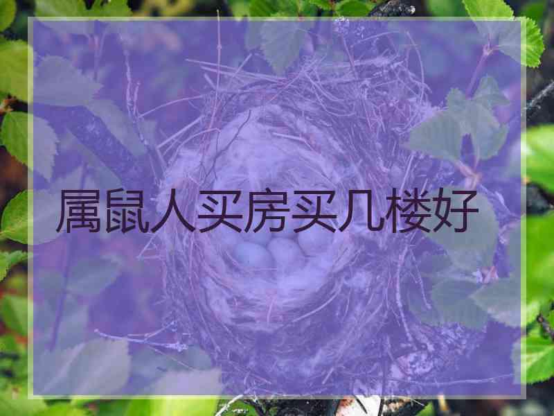 属鼠人买房买几楼好