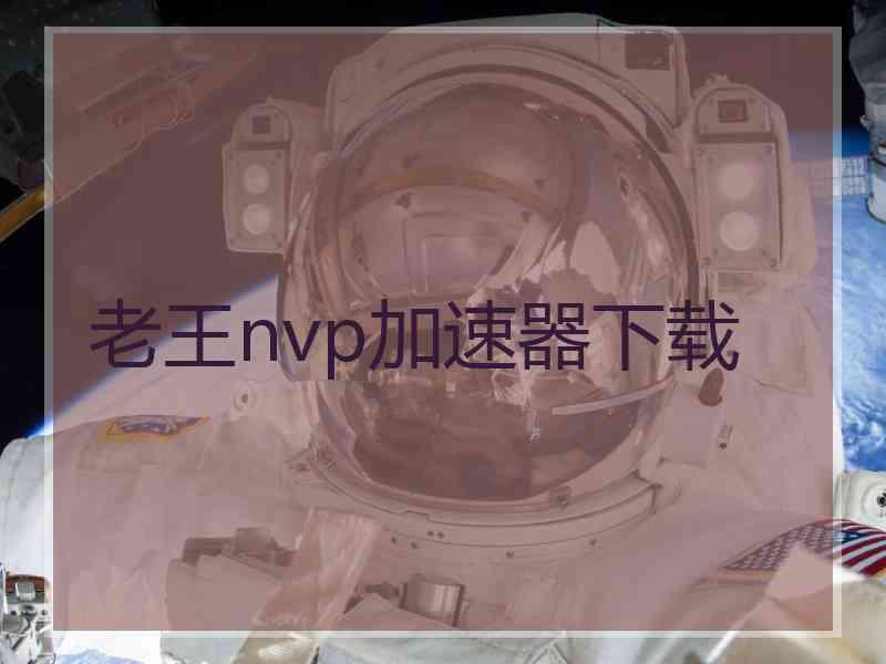 老王nvp加速器下载