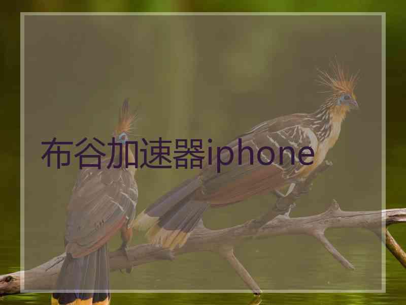 布谷加速器iphone