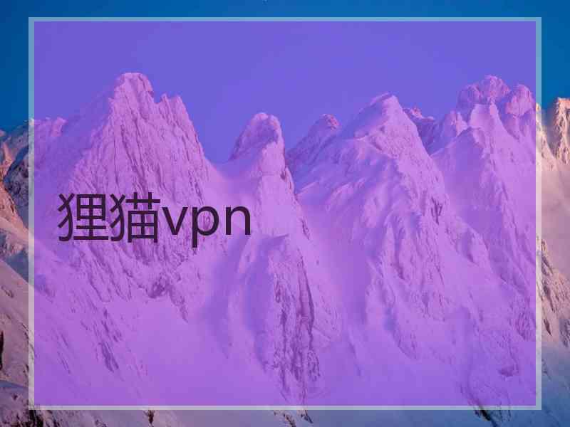 狸猫vpn