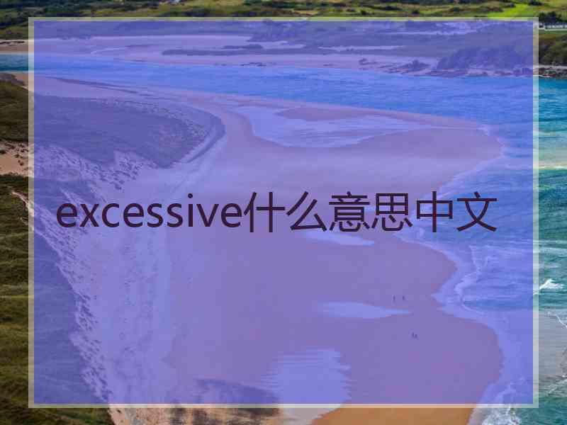 excessive什么意思中文