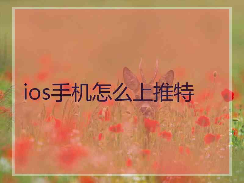 ios手机怎么上推特