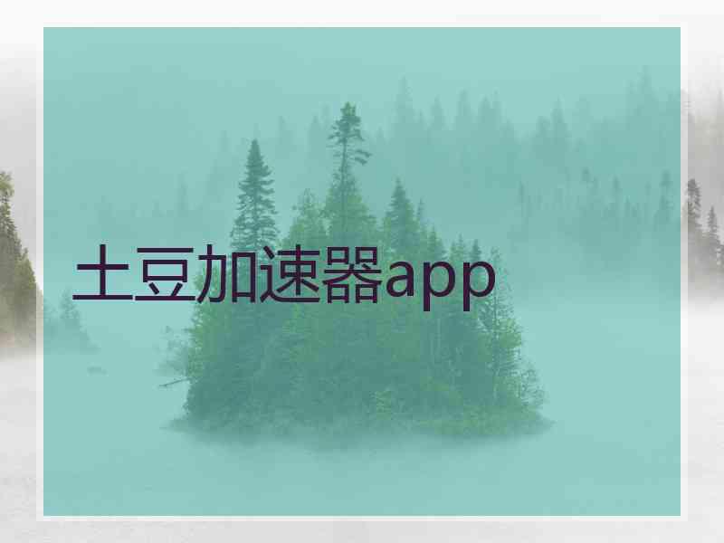 土豆加速器app