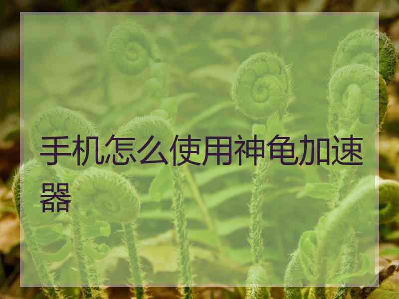 手机怎么使用神龟加速器