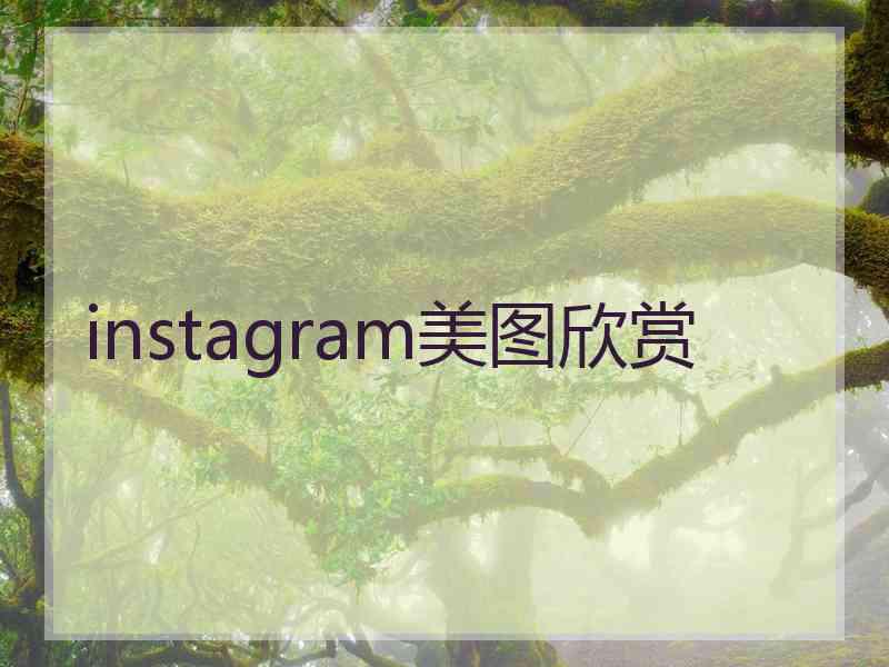 instagram美图欣赏