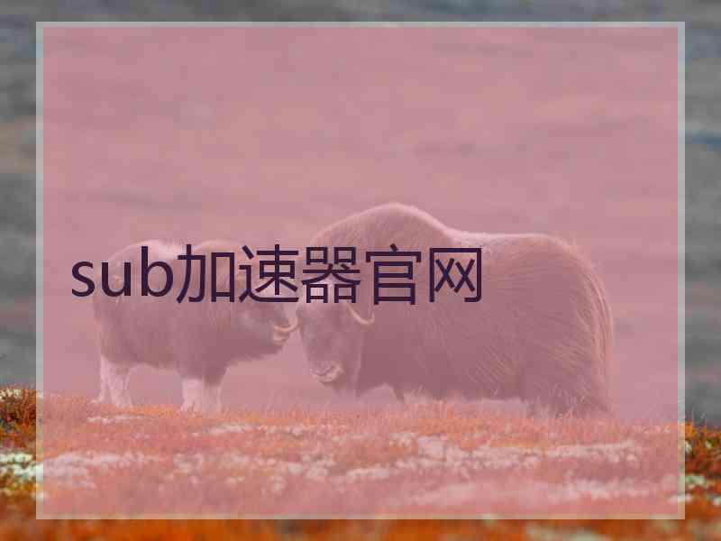 sub加速器官网