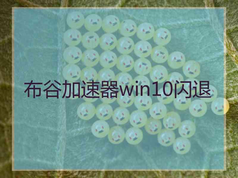 布谷加速器win10闪退