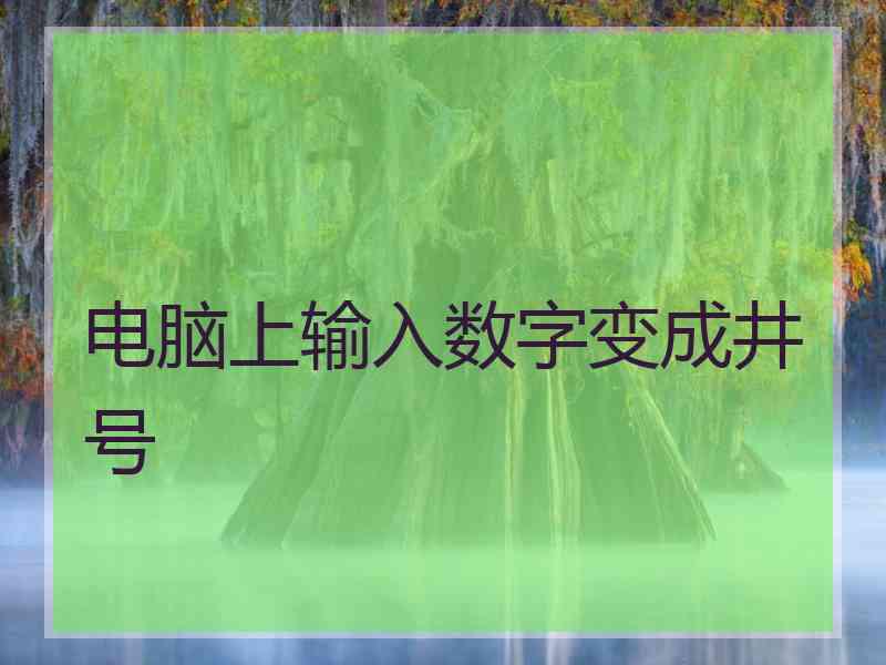 电脑上输入数字变成井号