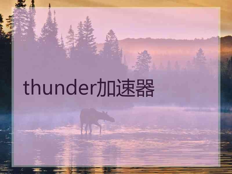 thunder加速器