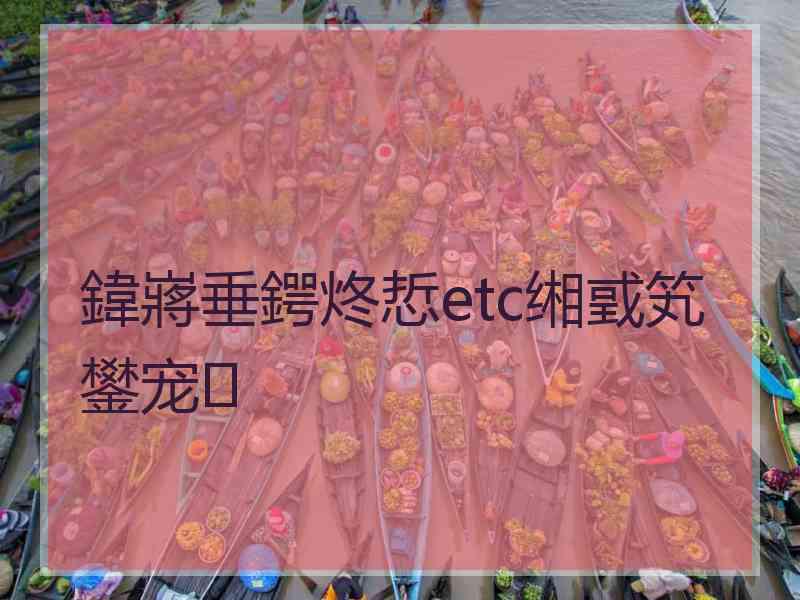 鍏嶈垂鍔炵悊etc缃戜笂鐢宠