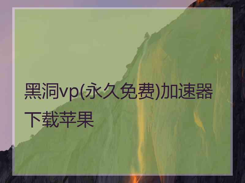 黑洞vp(永久免费)加速器下载苹果