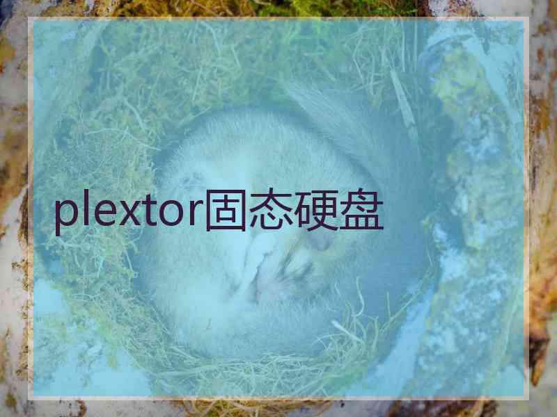 plextor固态硬盘