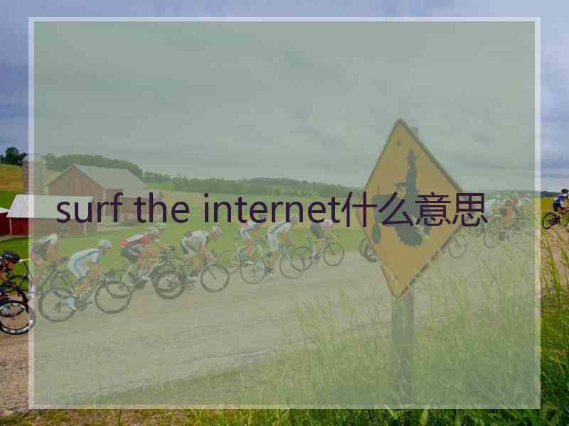 surf the internet什么意思