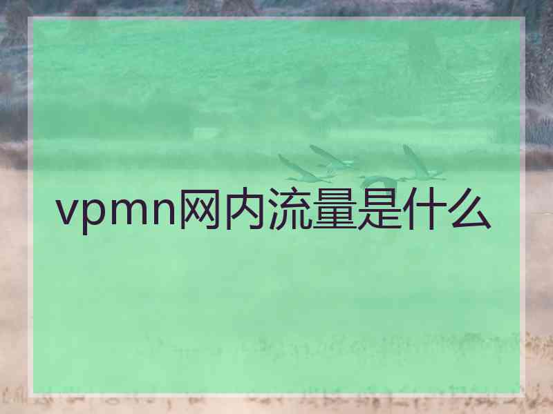 vpmn网内流量是什么