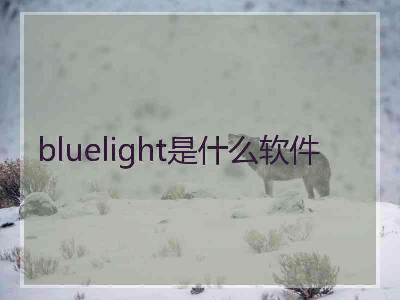 bluelight是什么软件