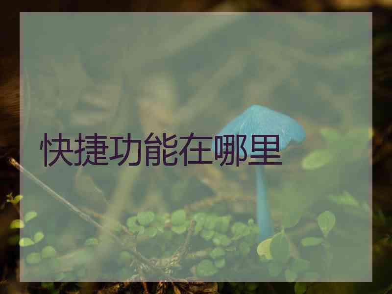 快捷功能在哪里