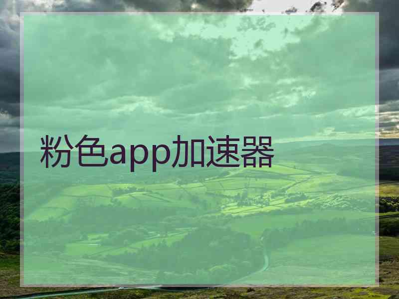 粉色app加速器