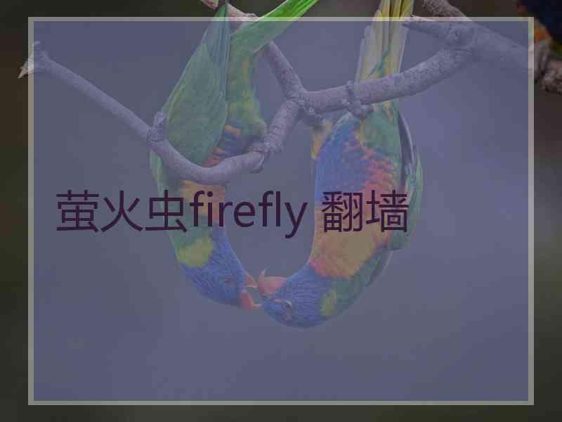 萤火虫firefly 翻墙