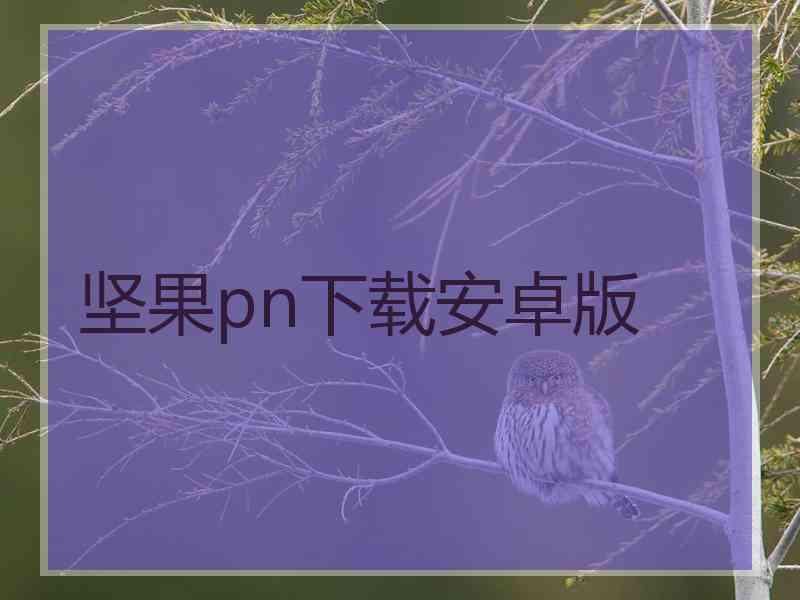 坚果pn下载安卓版