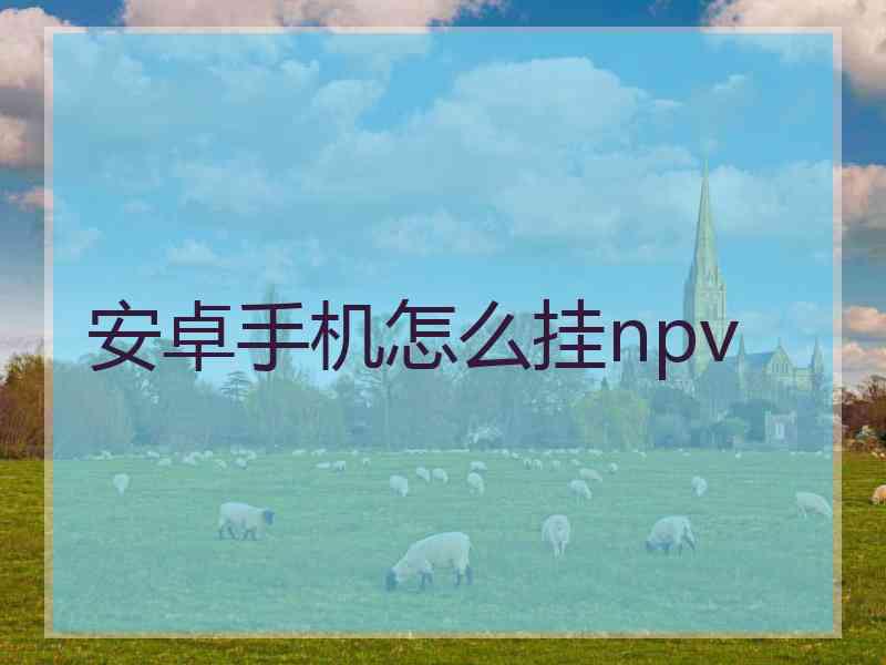 安卓手机怎么挂npv