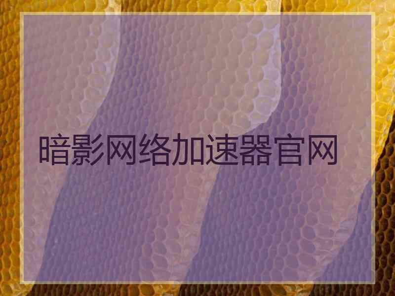 暗影网络加速器官网