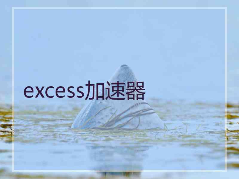 excess加速器