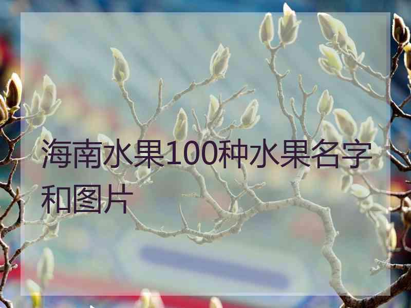 海南水果100种水果名字和图片