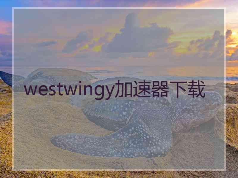 westwingy加速器下载