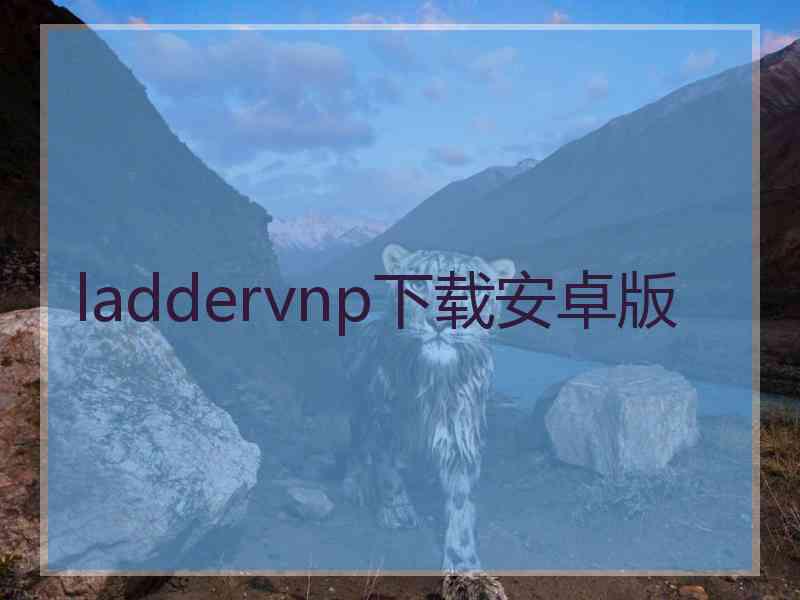 laddervnp下载安卓版