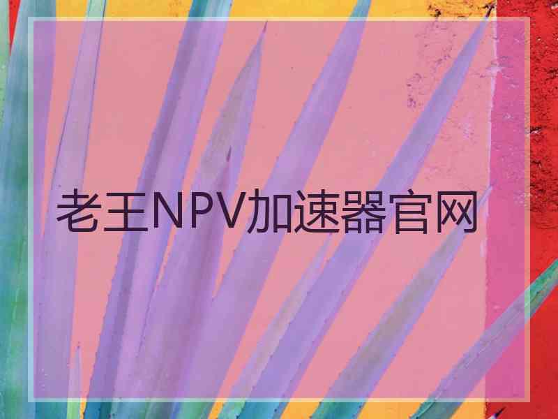 老王NPV加速器官网