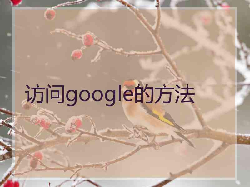 访问google的方法