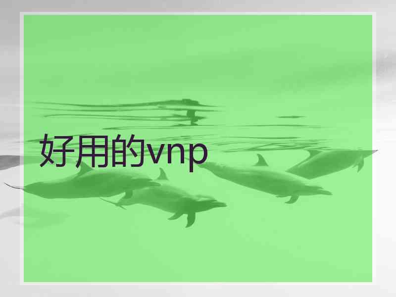 好用的vnp