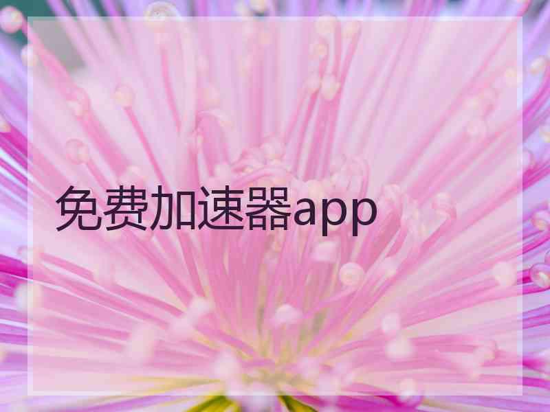 免费加速器app