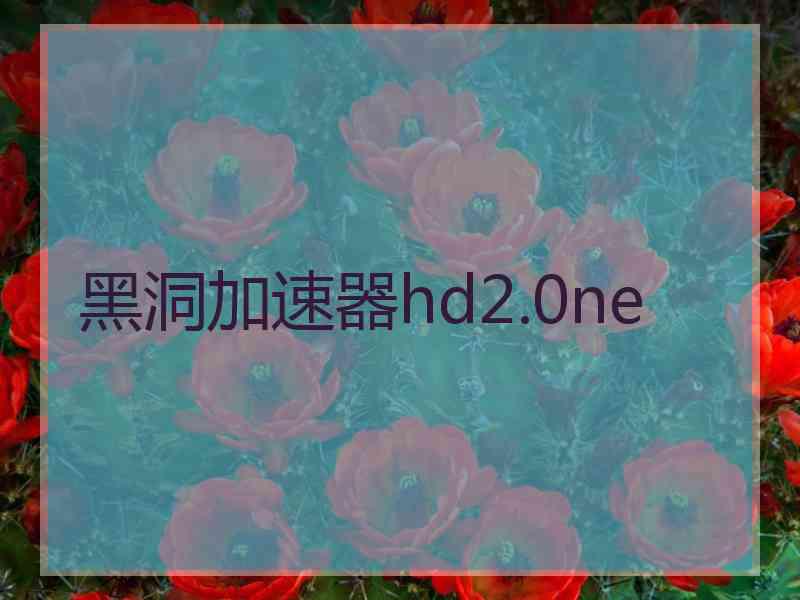 黑洞加速器hd2.0ne