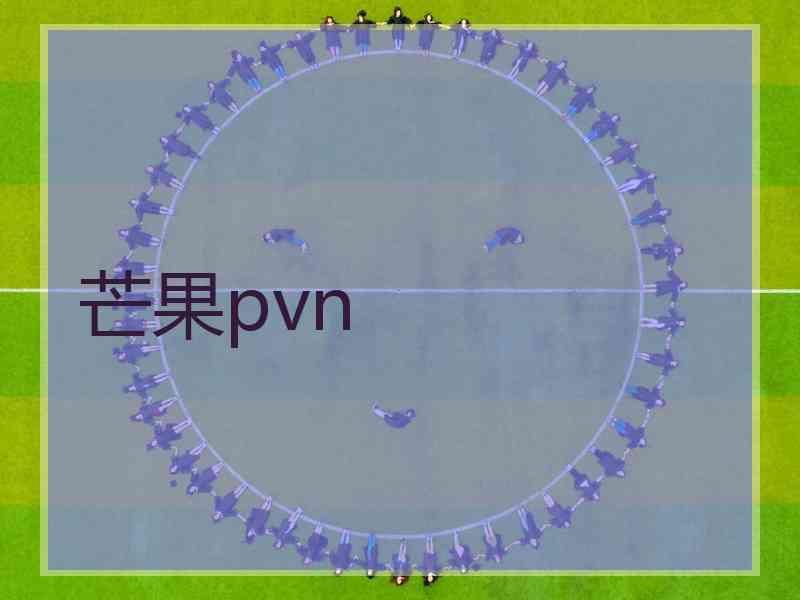 芒果pvn