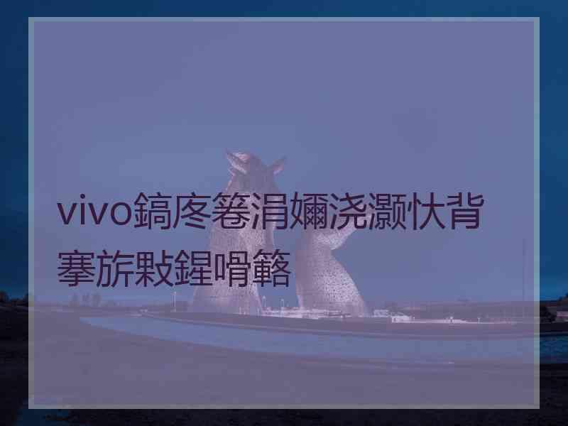 vivo鎬庝箞涓嬭浇灏忕背搴旂敤鍟嗗簵