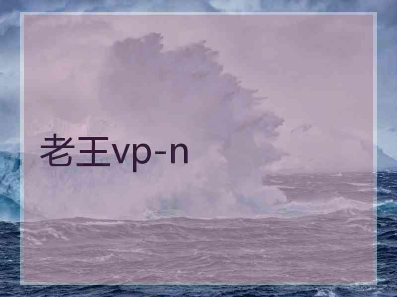 老王vp-n