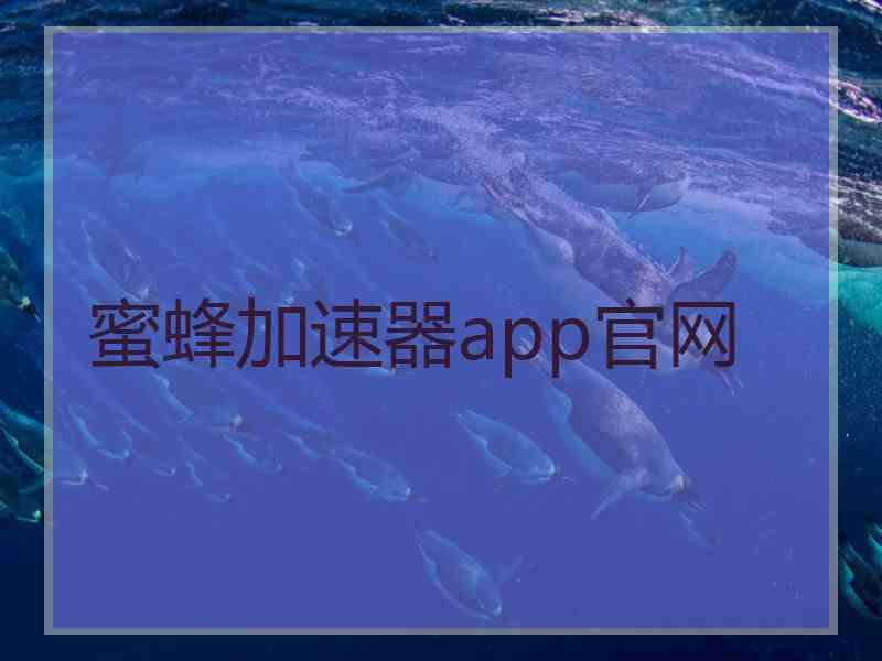 蜜蜂加速器app官网