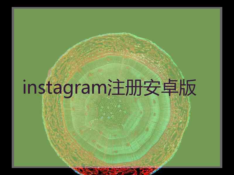 instagram注册安卓版