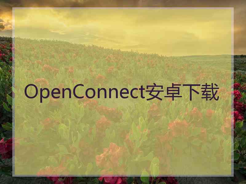 OpenConnect安卓下载